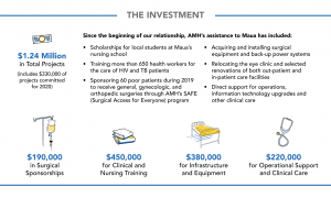 Infographic showing AMH's investment in Africa's healthcare