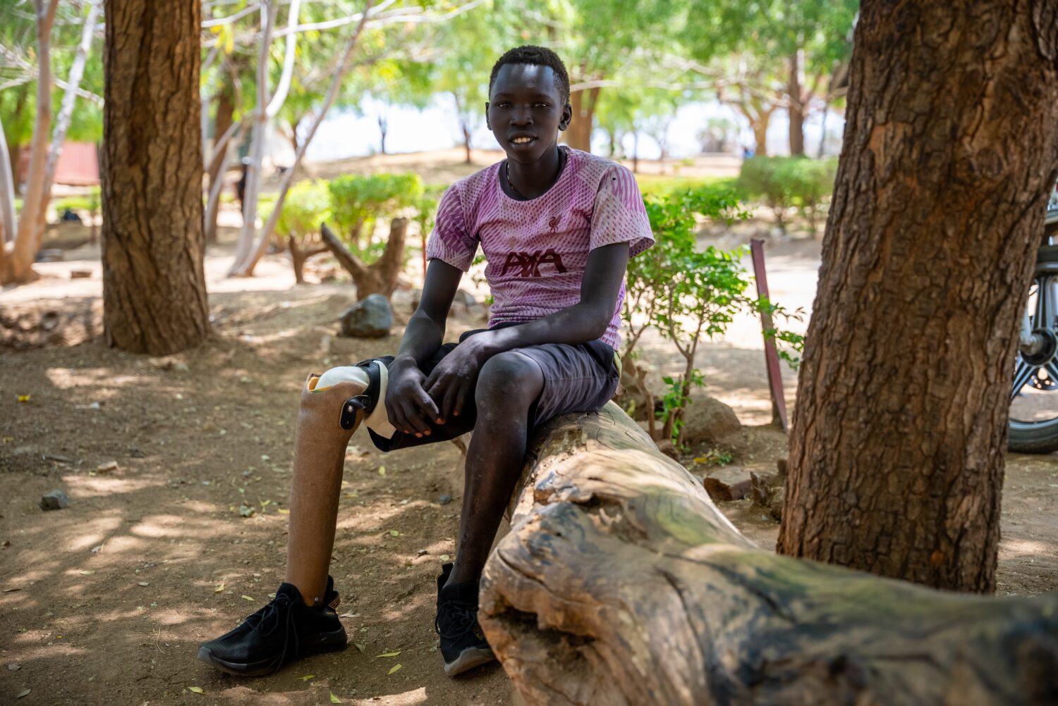 Kuda Sitting